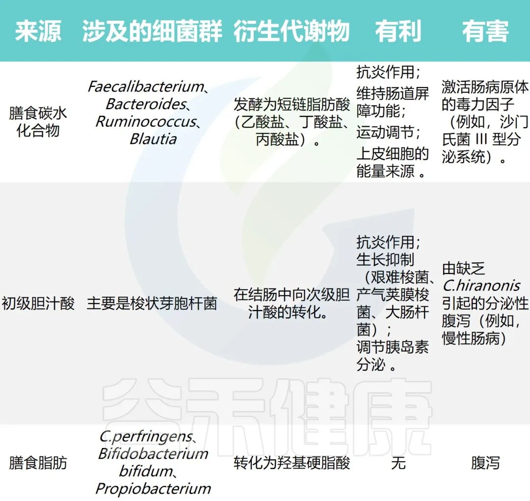 猫肠道菌群活性显微镜,猫肠道菌群类型图