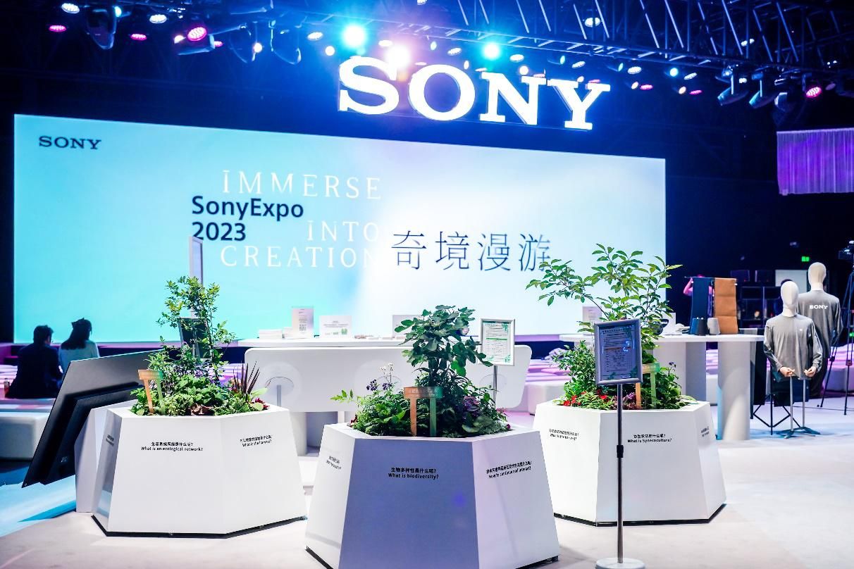 索尼发展规划,索尼全球化战略