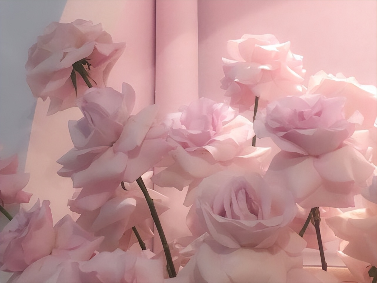 处女座能控制什么,处女座能驾驭巨蟹么