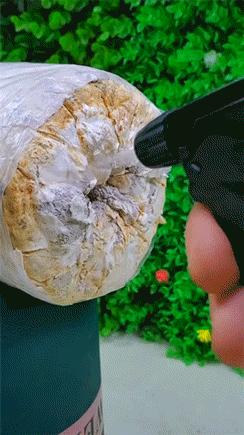 女朋友平胸是什么心理,女生平胸如何安慰