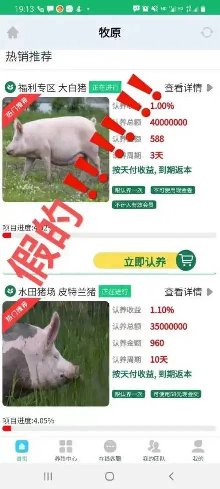 警惕！APP认领养猪有收益？*子骗**盯上牧原！已有人上当受骗