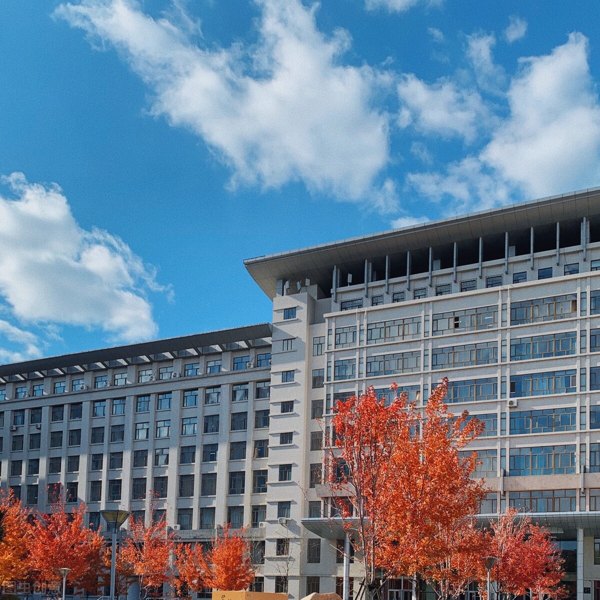 东北林大好找工作吗,东北农大本硕博班就业前景