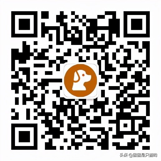 打完麻腮风疫苗多久可以洗澡,小猫咪要打完疫苗才能洗澡吗