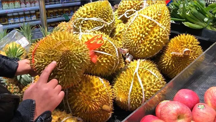 买榴莲就要挑母的学会这四招,买榴莲怎么挑熟一点