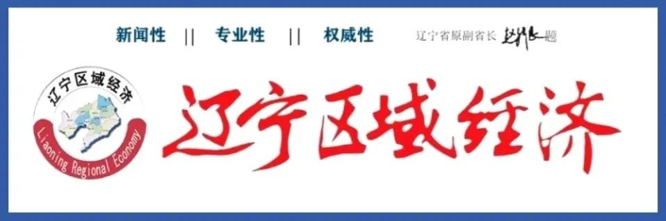 沈阳铁西公安,沈阳公安五项举措