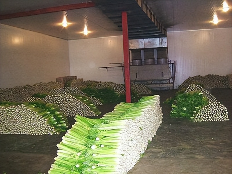 吃了烤肠里面的蛆会有事吗,火腿肠里吃到虫子是真的吗