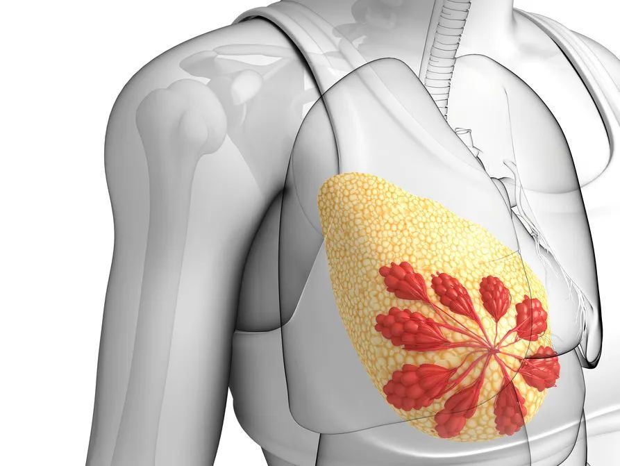 女性胸部怎么按摩防止有乳腺增生,经常胸部胀痛怎么回事
