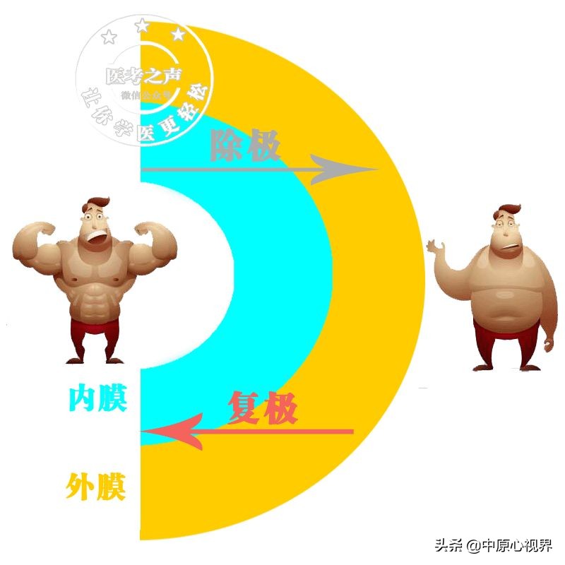 护考几种常见的心电图,常见的心电图图形分析