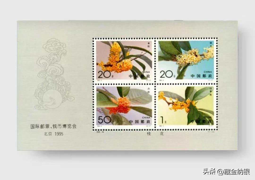 老邹的创业笔记,老邹创业笔记