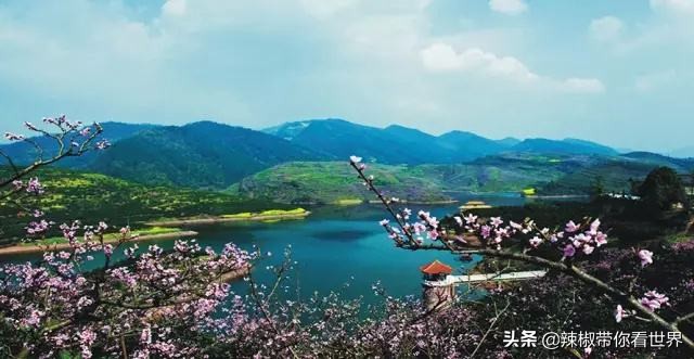 东坡故里天府眉山,四川眉山两宋800进士