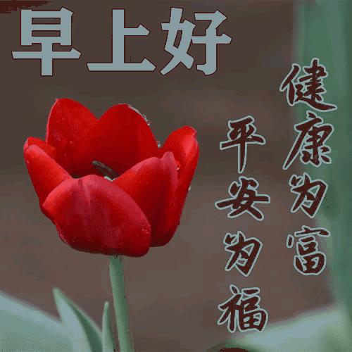 庚子日柱2023年癸卯年运势,癸卯年2023年哪个月出生最好