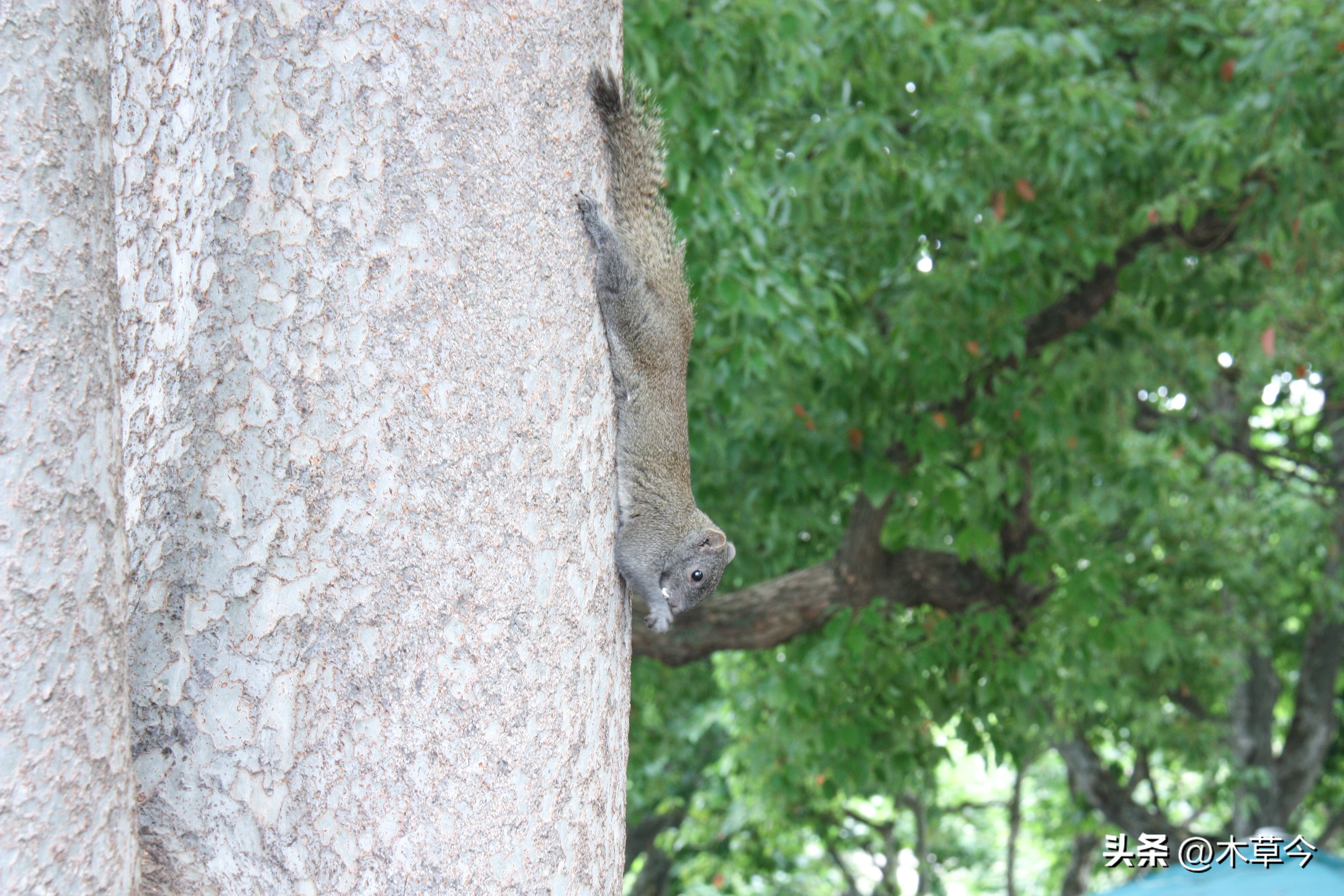 杭州是个值得打卡的地方,杭州是一个令人向往的地方