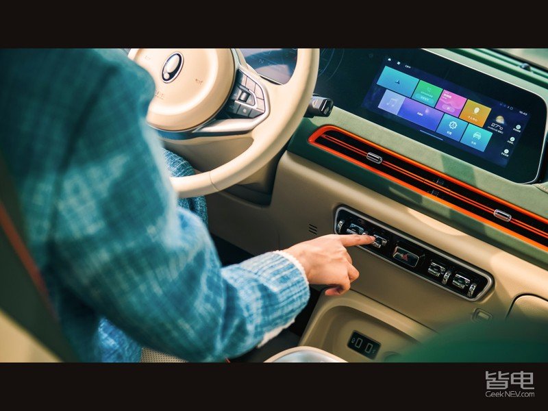 一只美貌与智慧并重的猫咪,一只靠自己找到今生铲屎官的橘猫