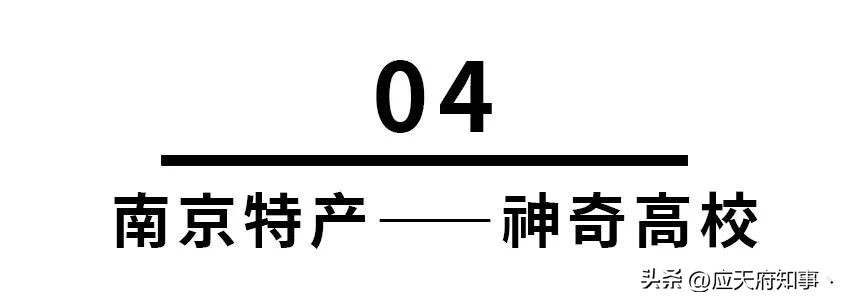 鍗椾含鐗逛骇绯曠偣,鍗椾含骞磋揣鐗逛骇