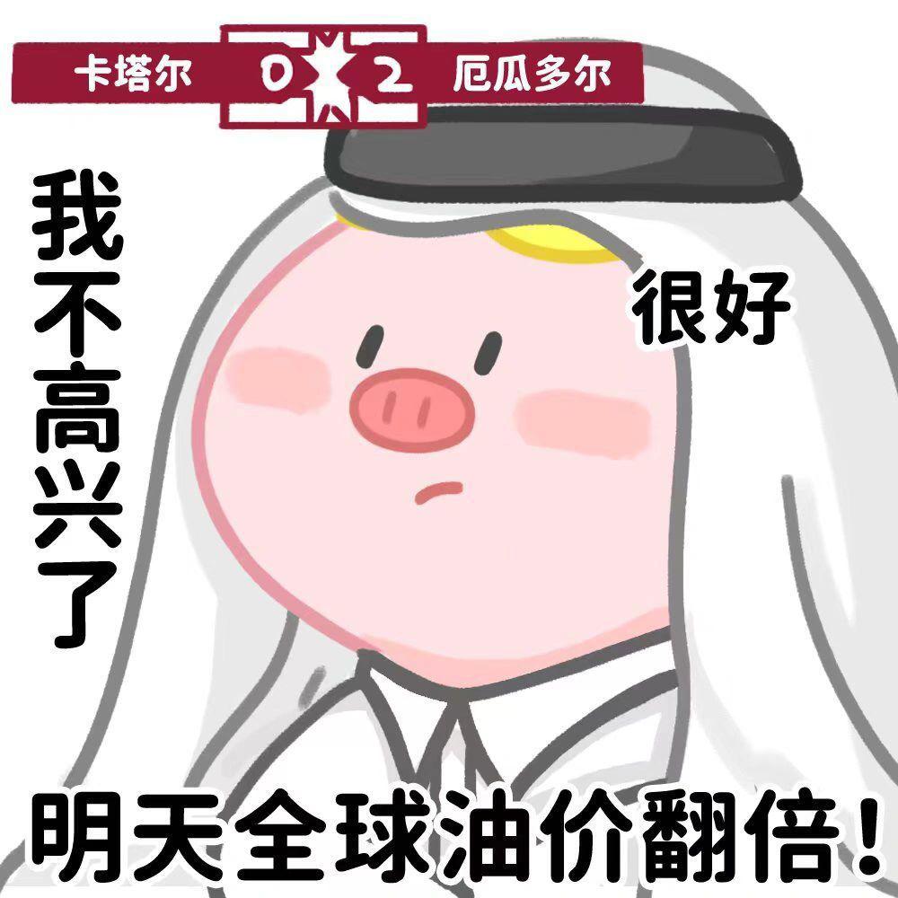 卡塔尔15岁小王子表情包,卡塔尔小王子气出表情包原视频
