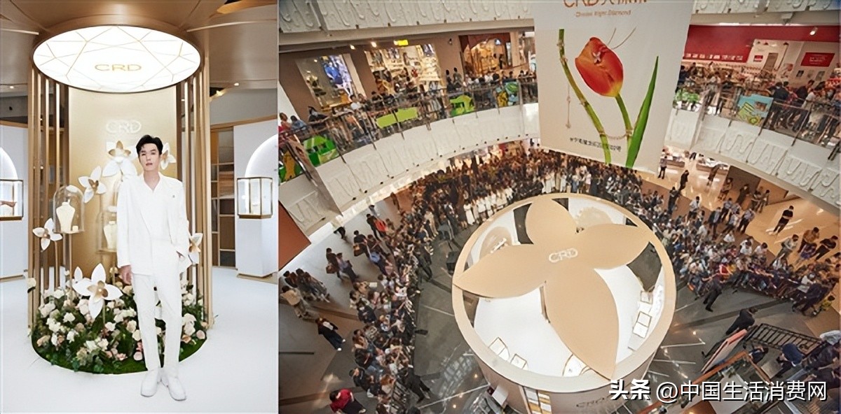 crd克徕帝代言人张若昀,crd克徕帝张若昀活动