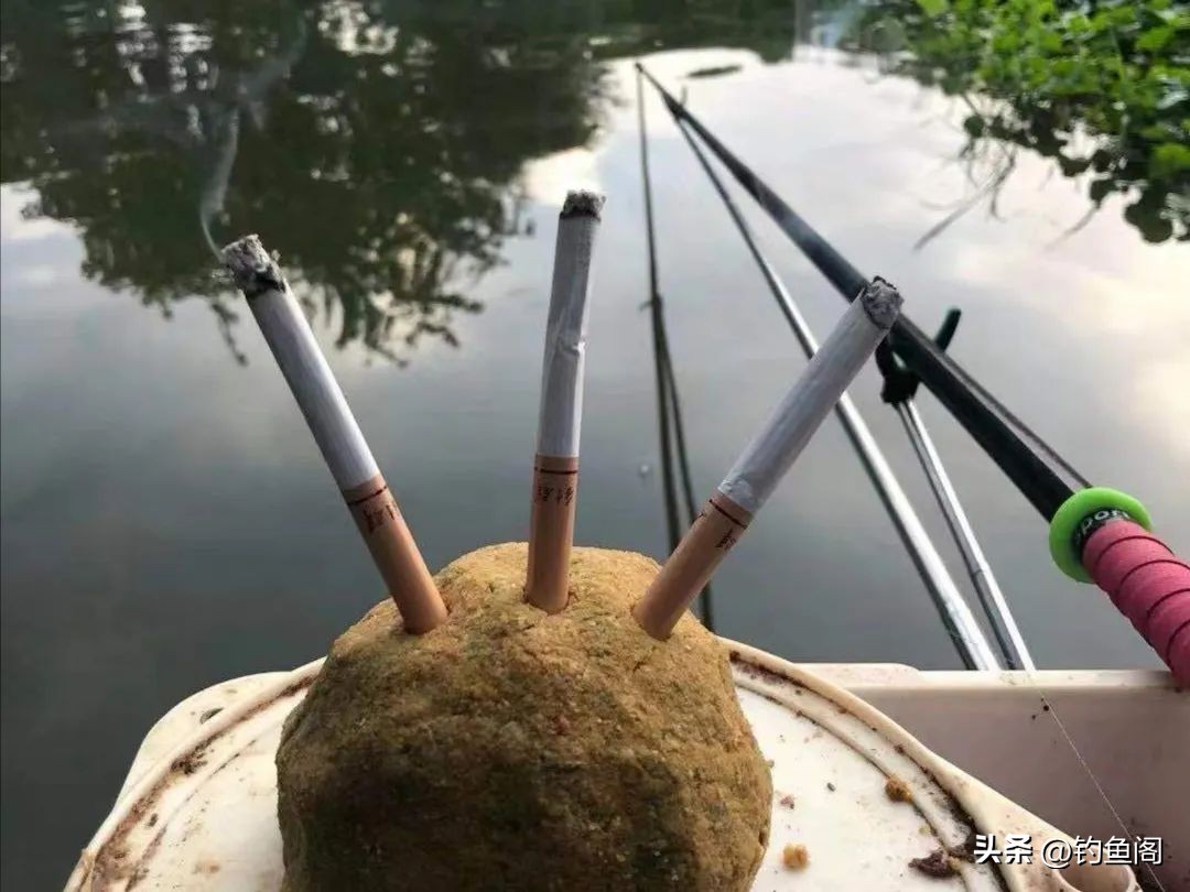 钓鱼没口怎么办让我来教你吧,钓鱼没口就不要死守