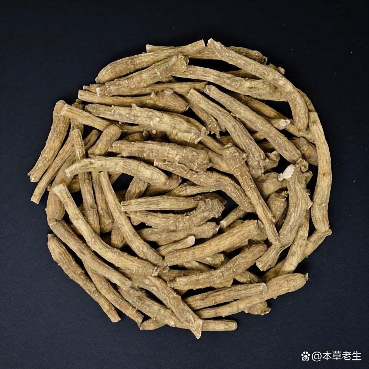 美国西洋参和中国西洋参有啥区别,美国产的西洋参好处是什么