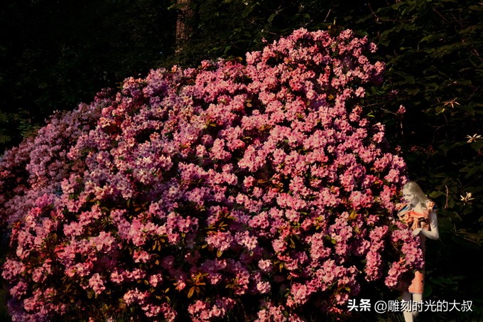 ai摄影师获奖,ai和摄影结合的摄影师