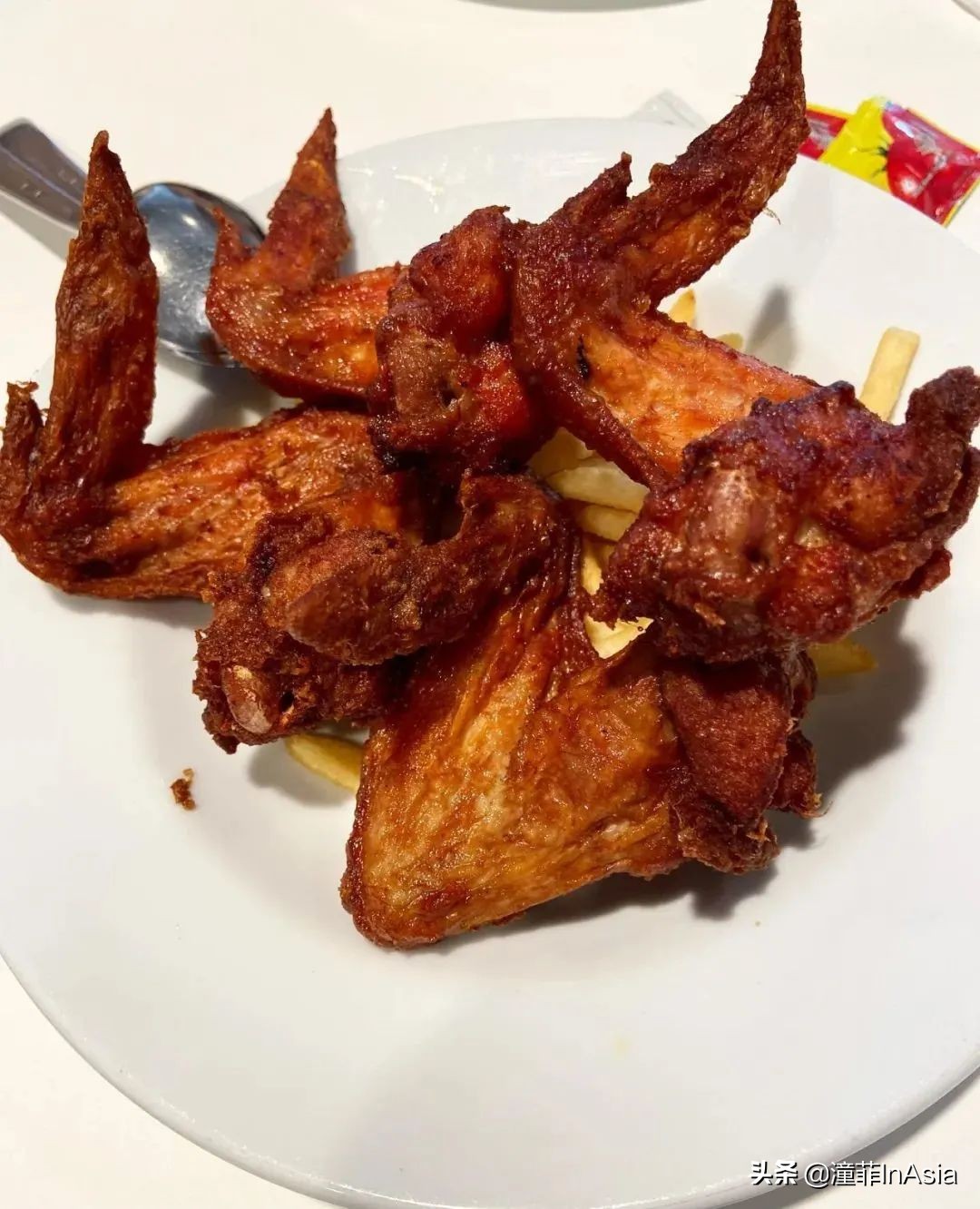 新加坡樟宜机场城市观光免费巴士,新加坡环线巴士