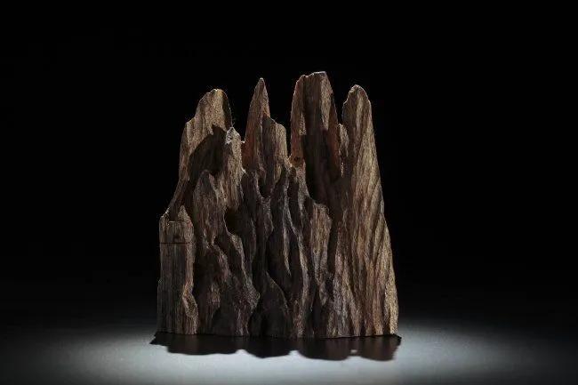 世界宝石大全(上)有机宝石