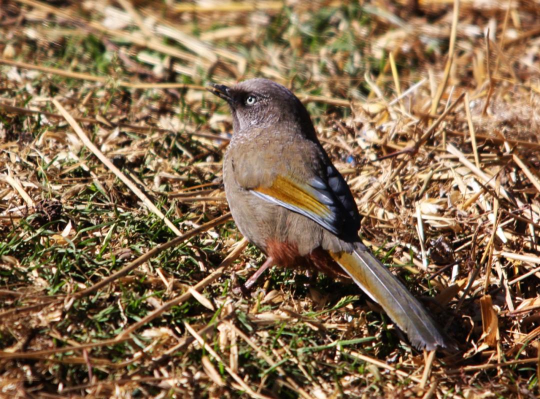 昆明七彩云南怎么样,七彩云南避暑家园