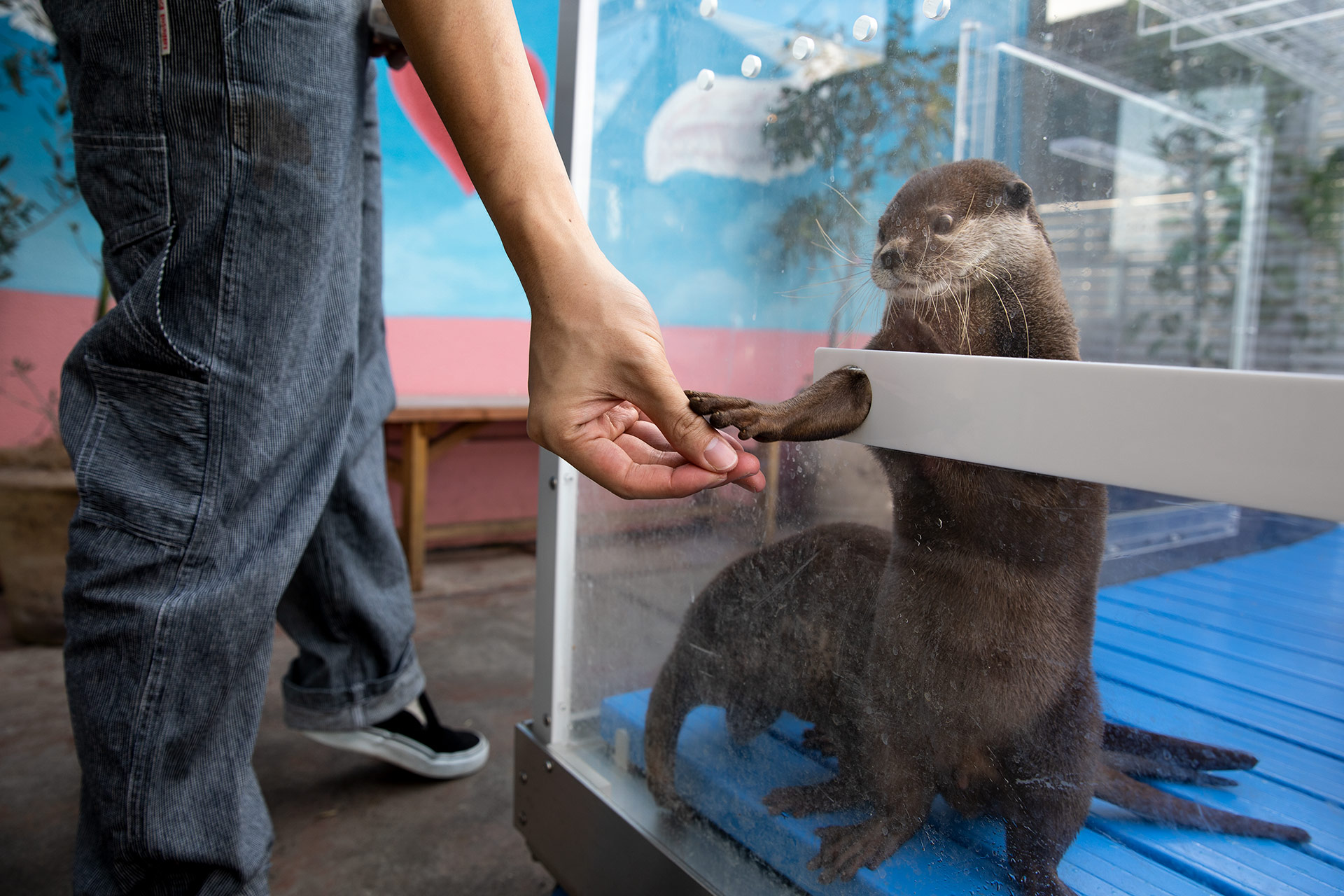 自然就是美,自然就是美歌曲