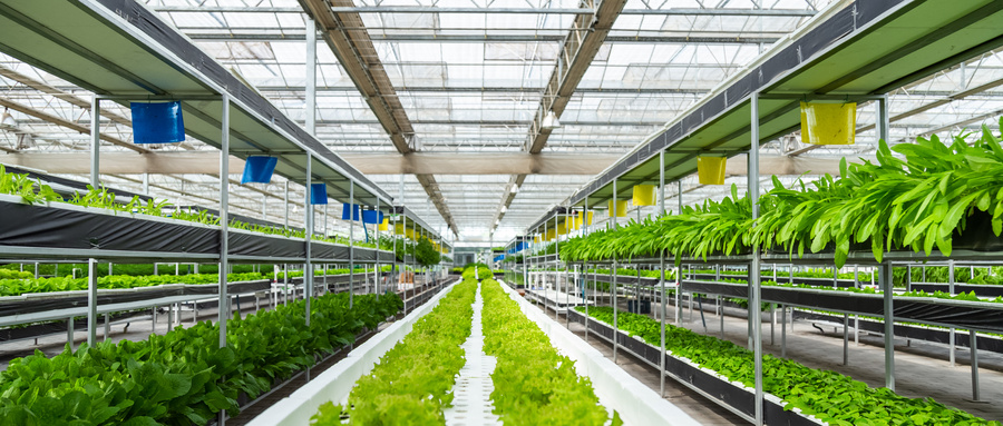 助农直播带货存在的问题,助农直播需要注意的安全问题