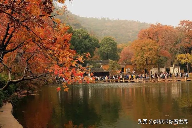 行走姑苏诗画山塘,苏州市姑苏区名胜古迹旅游景点图
