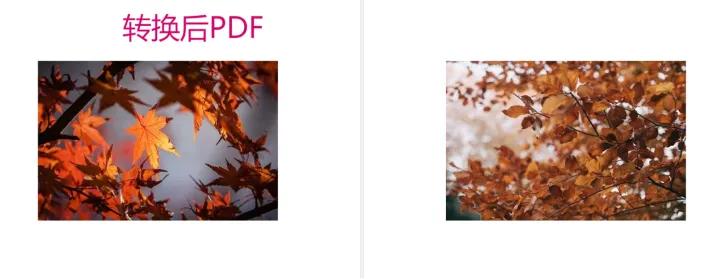 批量jpg文件夹转换为pdf文件夹,扫描件图片pdf可以转换jpg模式吗