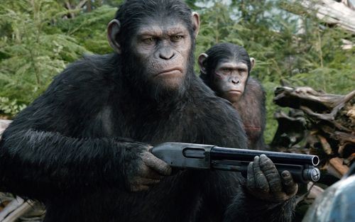 猩球崛起是哪种类型的猩猩,猩球崛起分别是哪种猩猩