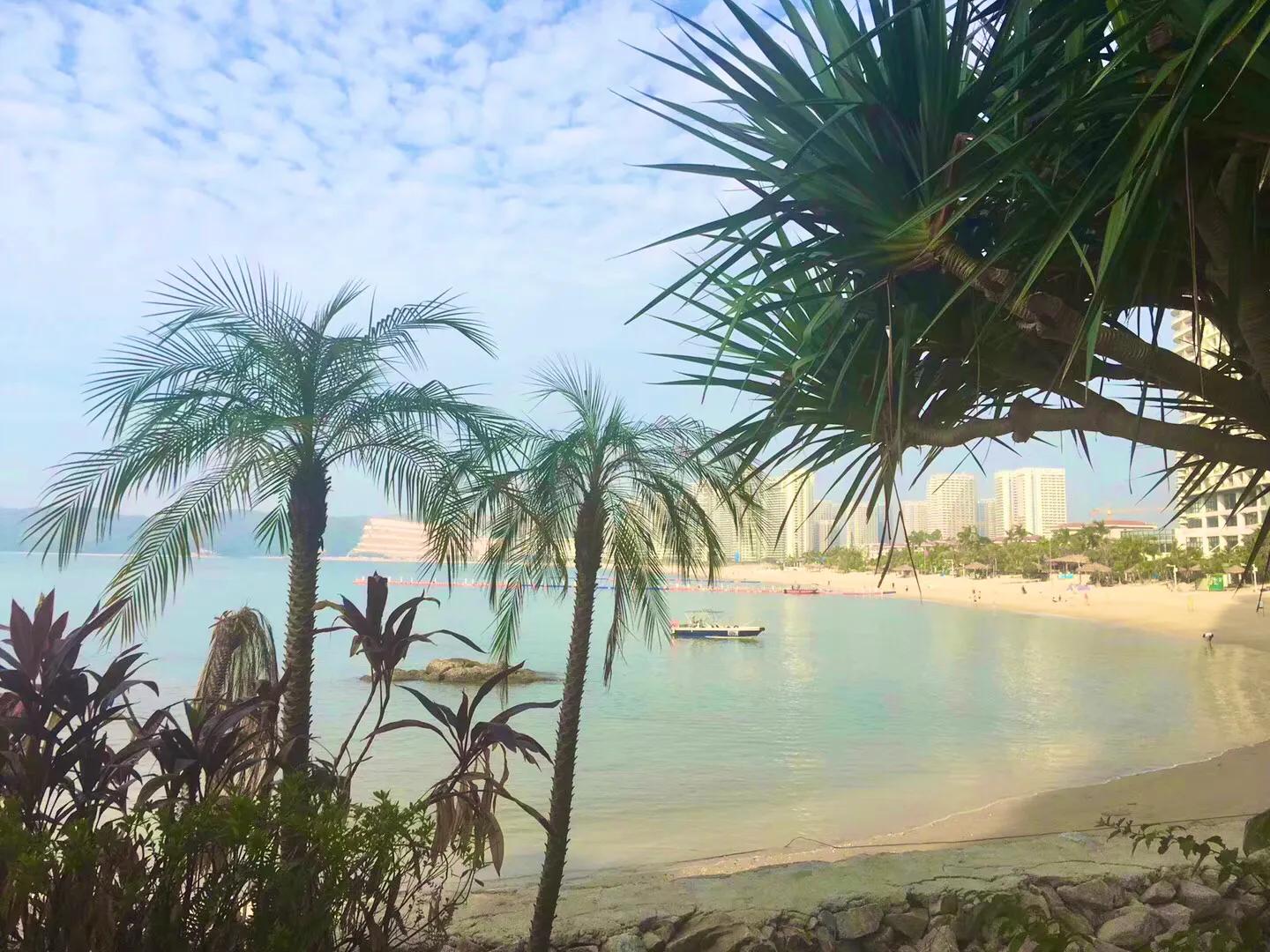 那年一见钟情后续,那年一见钟情知乎