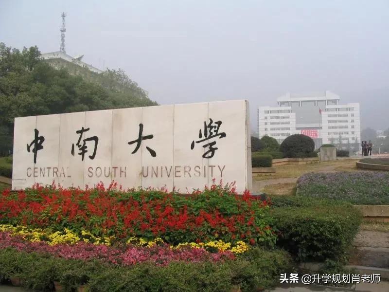 中南大学2020就业好，真实就业率超90%，1/3毕业生去机关事业单位