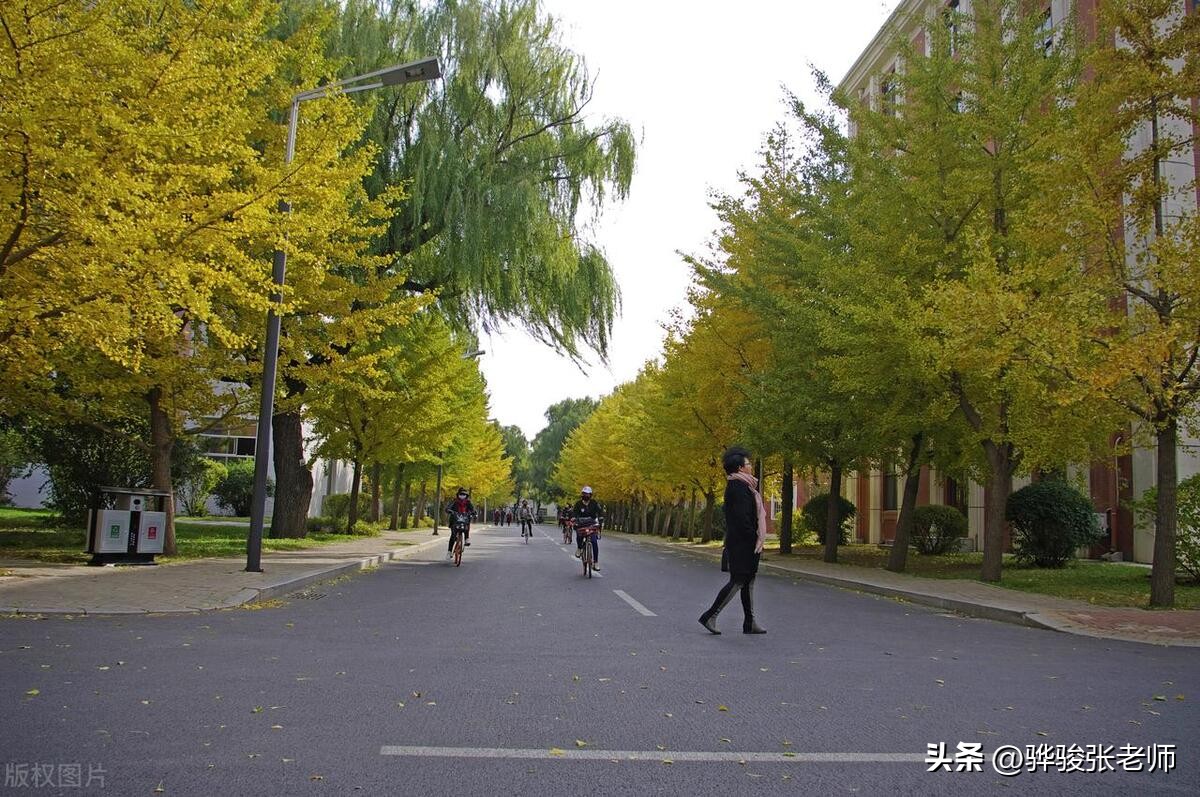 报农学有什么前途,中国农业大学怎么样值得读吗