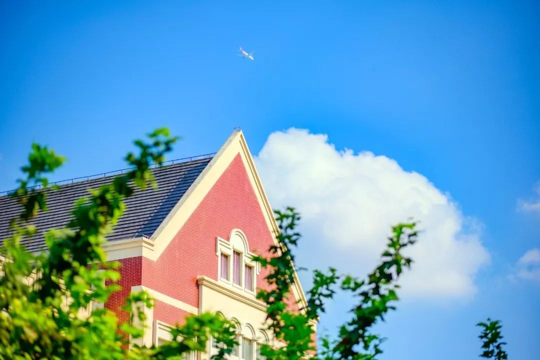 就业率100%，毕业入职央视、外交部！上海名校“硬核专业”火了！