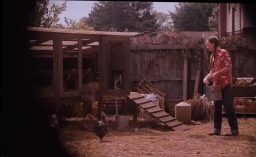 怦然心动家庭教育,怦然心动女孩对男孩说的话