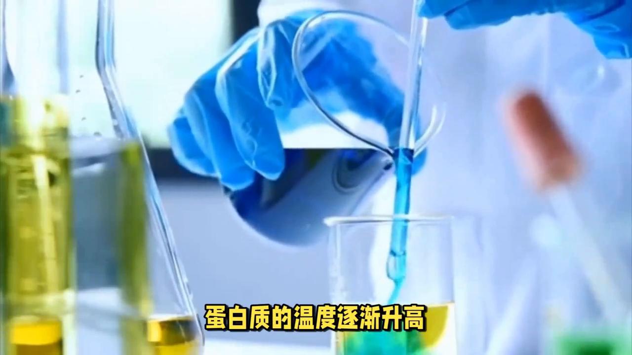 天天食安行——蛋白质在干燥过程中的变性机理#天天食安行