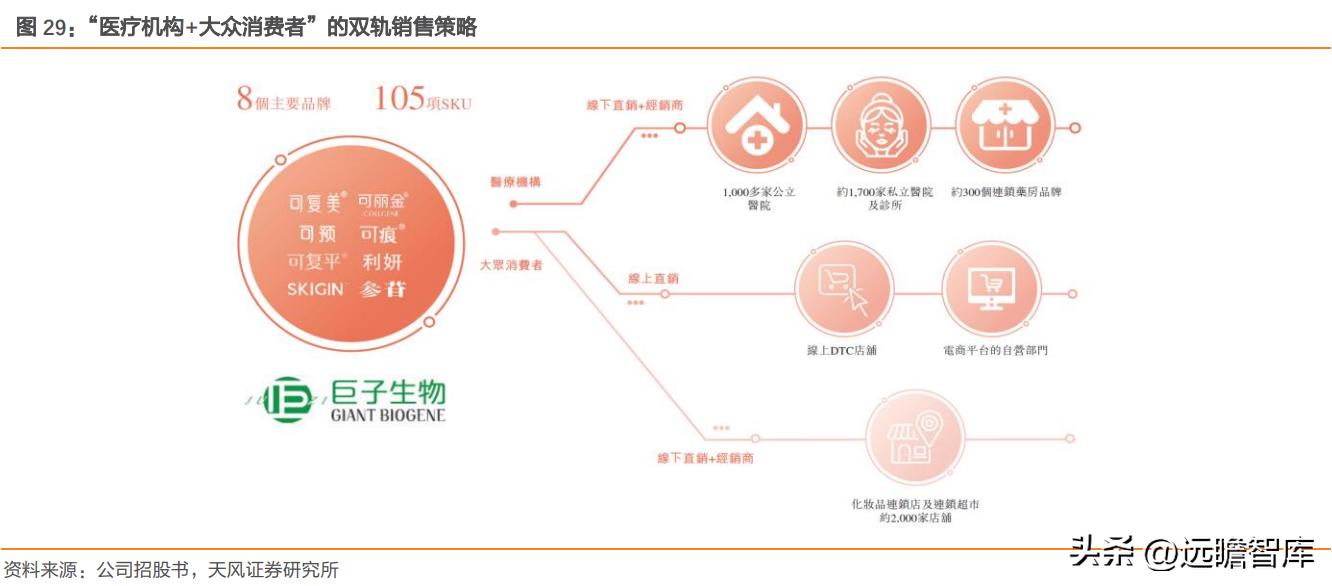 巨子生物重组胶原蛋白,巨子生物三型胶原蛋白获批