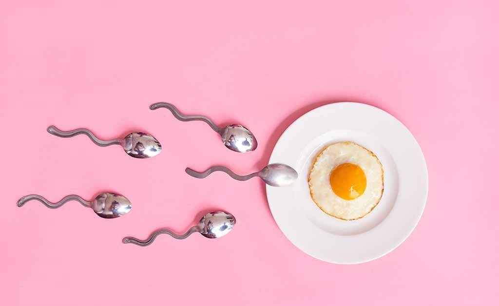 为什么我们喜欢用接吻表达爱意？