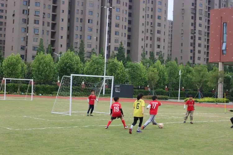 第十一届小学校园杯足球赛,校园足球点燃绿茵