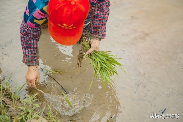 家庭月入两万雇保姆一月3500,妈妈做保姆月入5千