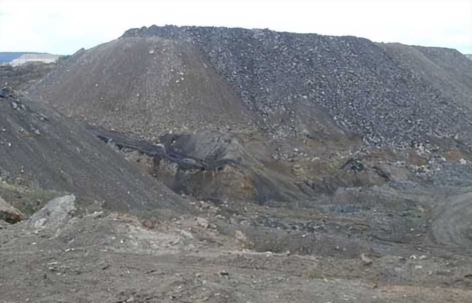 巴西总统访俄,巴西总统访华接待