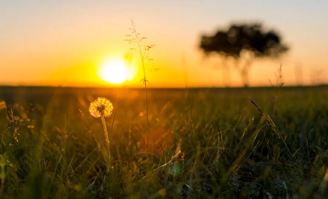 离北京最近的草原避暑胜地,华北夏季避暑好去处