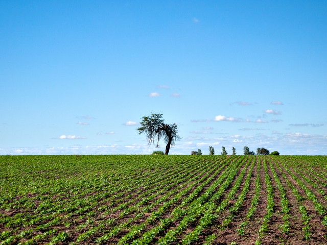 阿根廷夺冠后对阿根廷的影响,阿根廷夺冠阿根廷现状