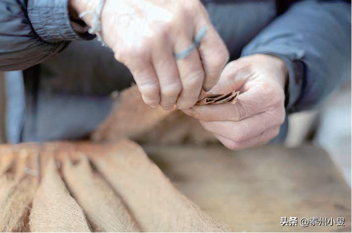 寒江蓑笠翁，细说蓑衣史