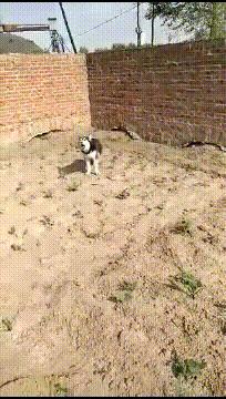 女朋友发来照片说刚运动完什么梗,女朋友发照片说刚运动完