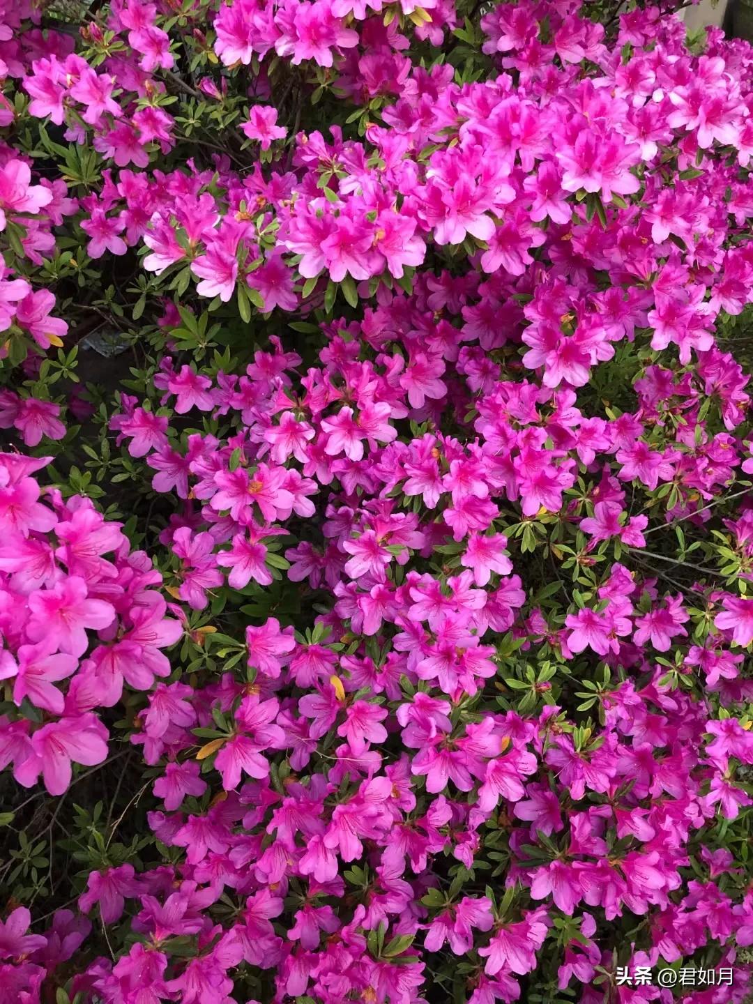 上海旅游遇梅雨,上海夏季雨夜美景
