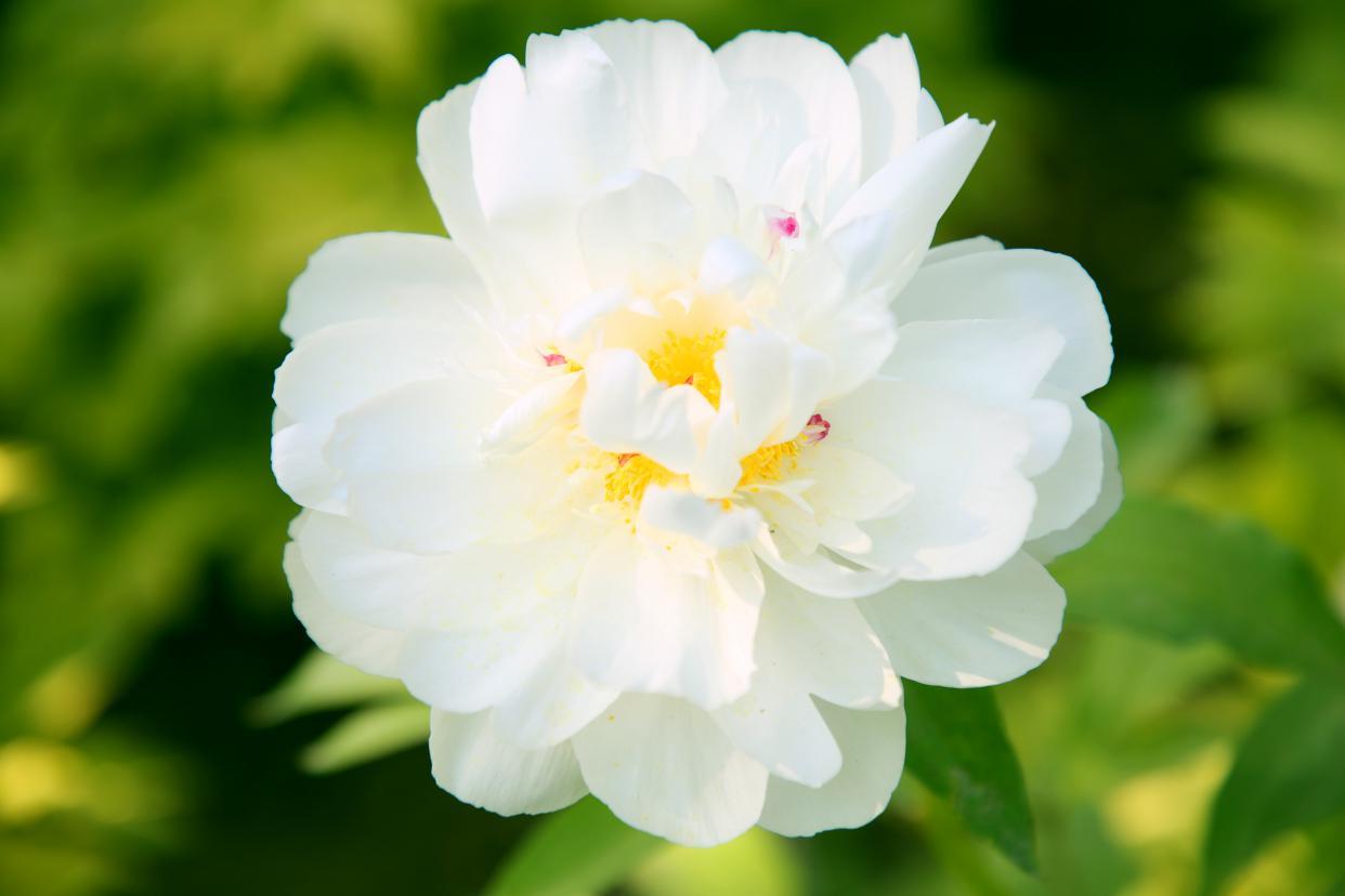 一生清醒却活得孤独的星座,专治抑郁的五大星座