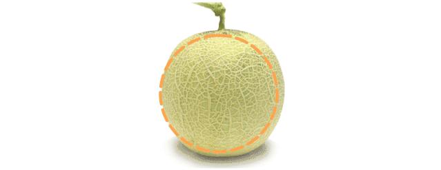 脸上皮肤不吸收护肤品,皮肤不吸收护肤品怎么办