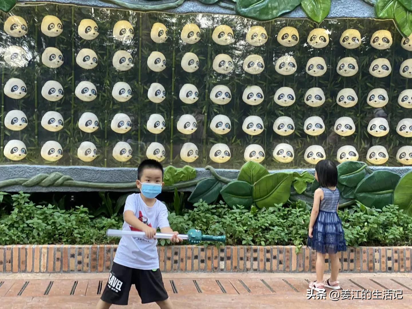 广州长隆野生动物园现在去好玩吗,广州长隆野生动物园主要景点